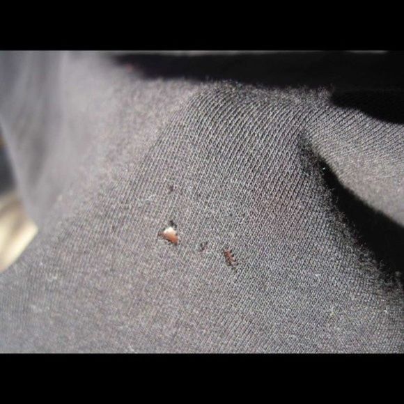 Caren Sport Solid Black Shirt Blouse Top Preowned Holes 2X 3XL ? No Tag Freebie - Picture 9 of 10